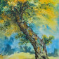 THE OLD TREE - Jharokha